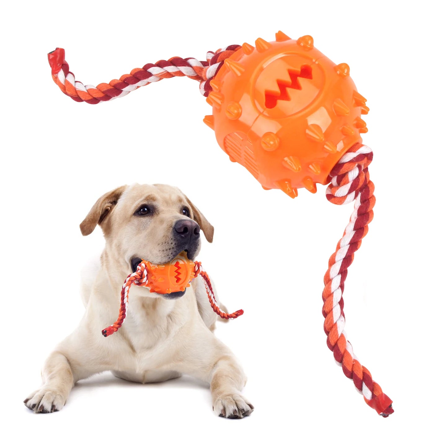 Dog Grinding Teeth Toys Chew Cleaning Anti Bite Interactive Training