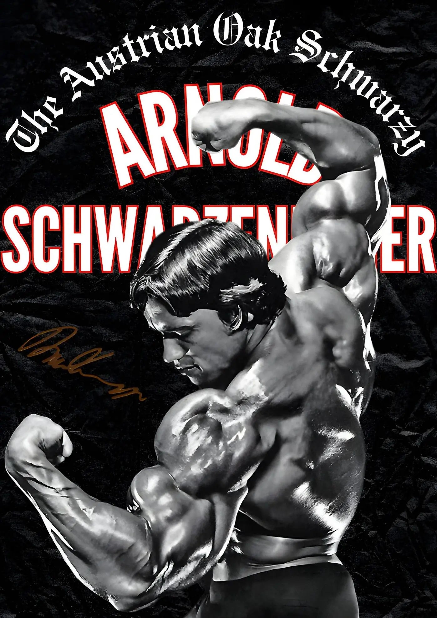 Vintage Classic Bodybuilding Champion Canvas Wall Art Fitness Workout Motivational Poster for Home Gym Living Room Decoration Peaceful Pleasures Health and Wellness 8 50x70cm Unframed