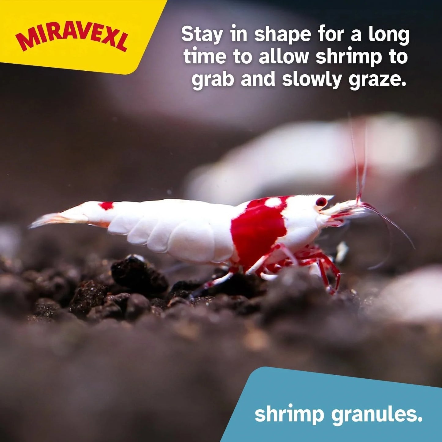 Color Enhancing Shrimp Food Nutritional Diet Aquarium Sinking Pellets Crayfish Crab Crystal Black Shell Cherry Bottom Feed Pet Peaceful Pleasures Health and Wellness