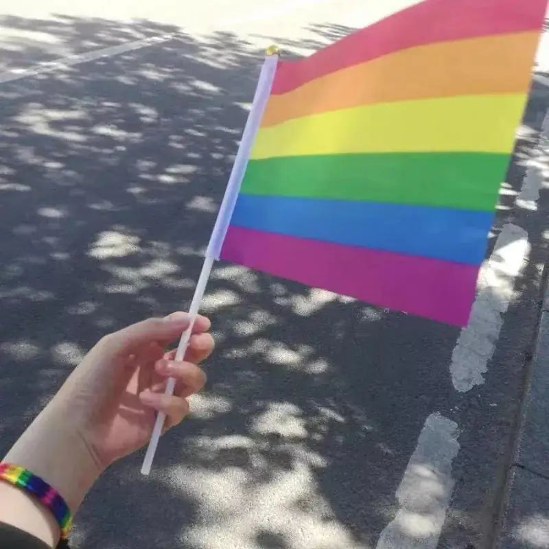 Mini Rainbow Hand Flags Sticks 14x21cm Pride Parade Celebration Party