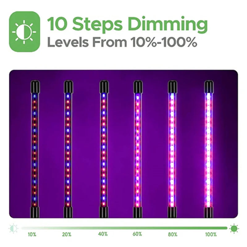 Full Spectrum LED Grow Light for Indoor Plants & Succulents