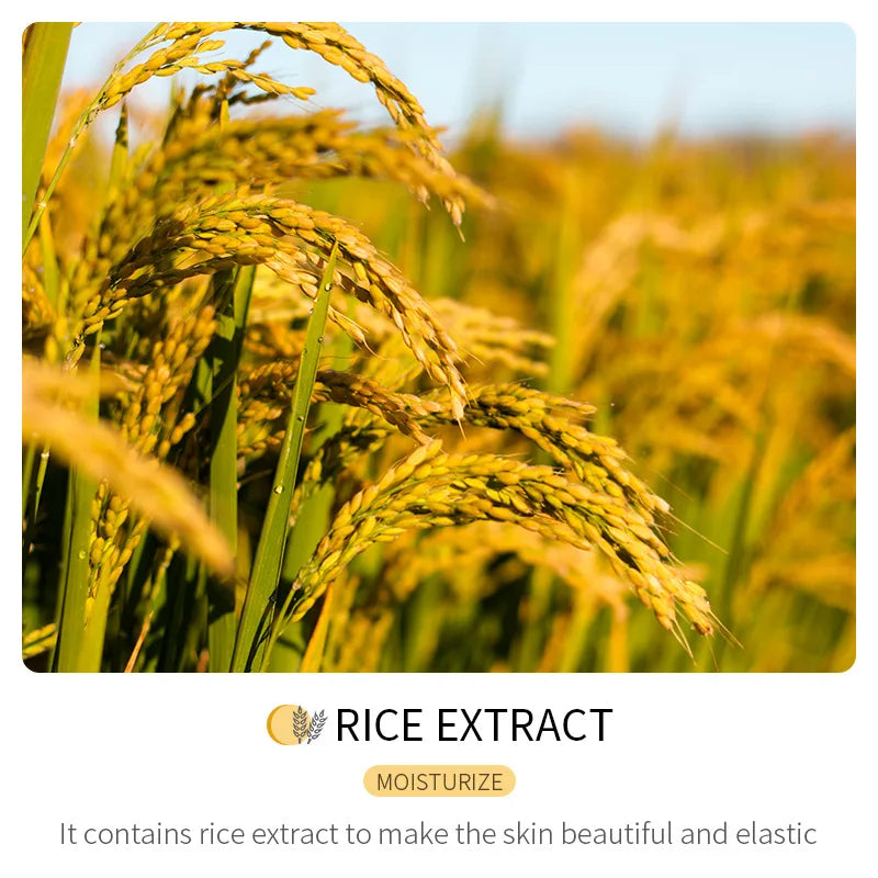 BIOAQUA Rice Raw Pulp Facial Masks Skincare Moisturizing Firming Hydrating Face Mask Sheets Mask Korean Skin Care Peaceful Pleasures Health and Wellness