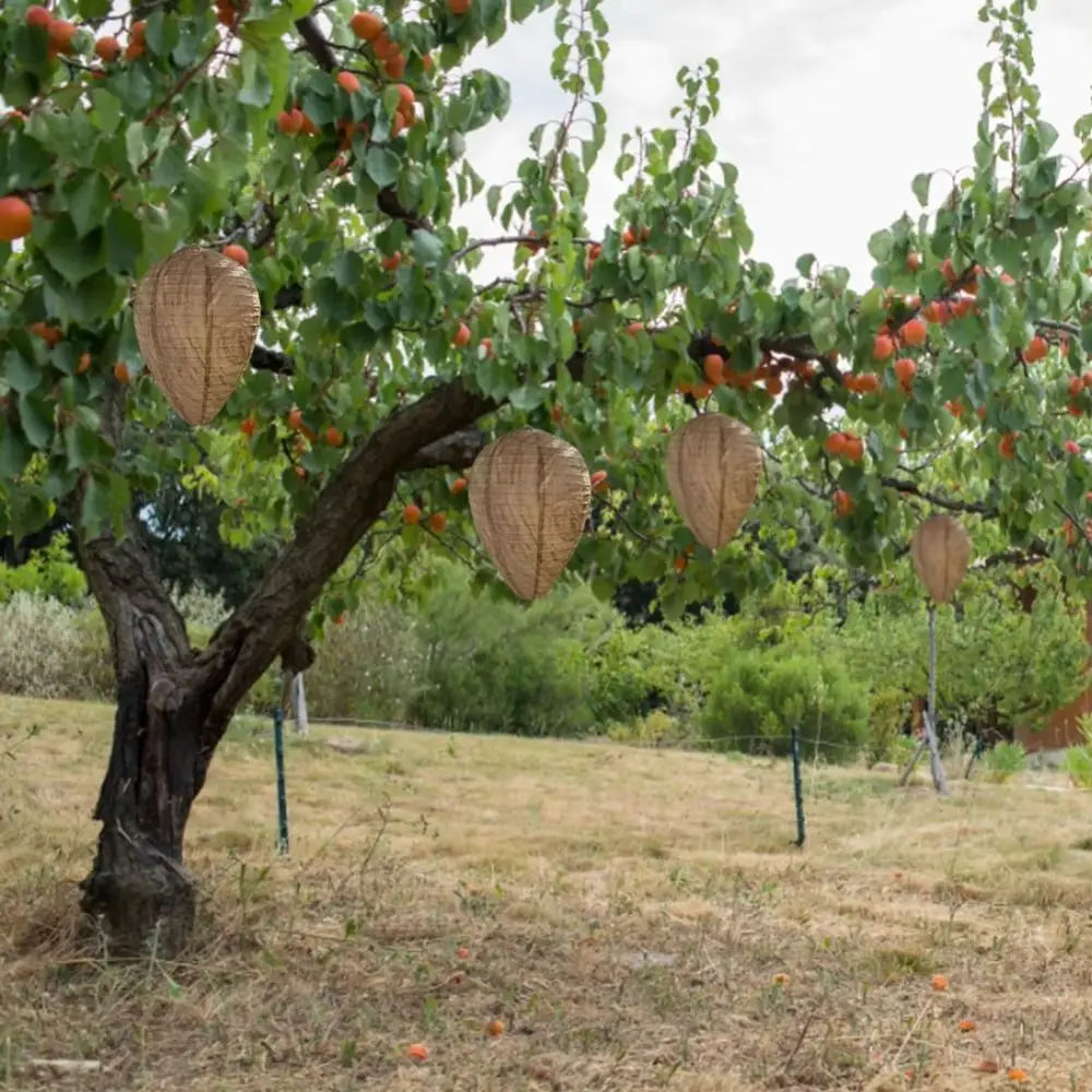 Hanging Wasp Nest Decoy | Eco-Friendly Paper Beehive Deterrent