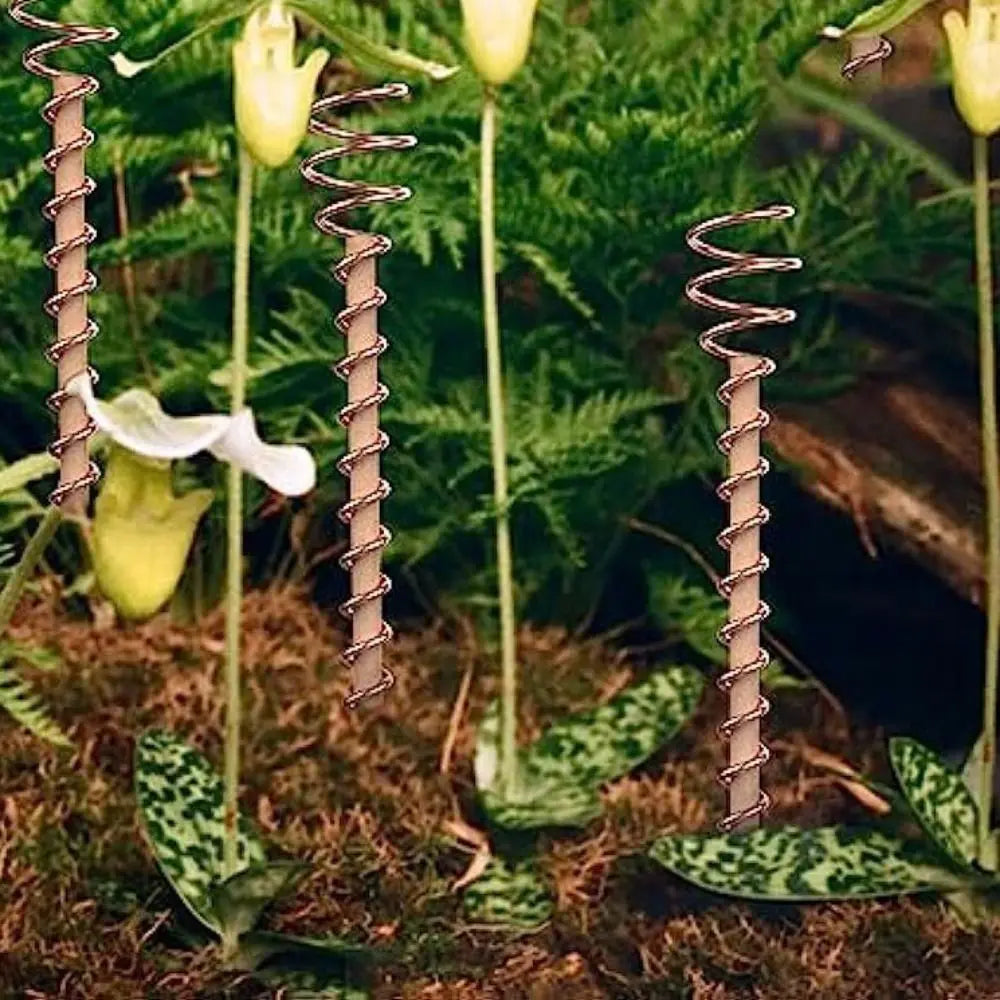 Copper Electroculture Plant Stakes – 30cm Bamboo & Copper Coil