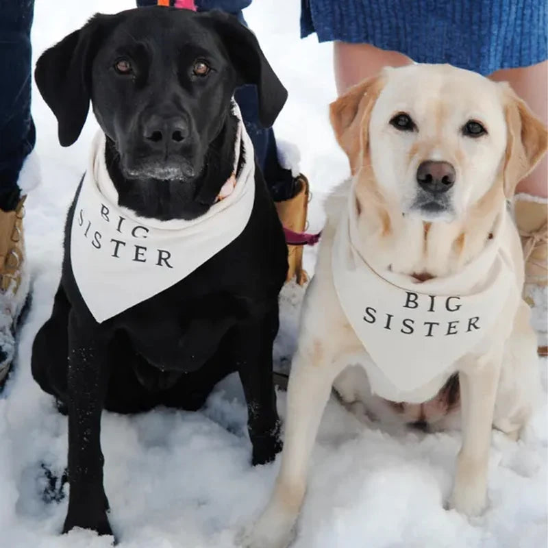 Big Brother Big Sister Dog Bandana | Baby Shower Announcement Dog Bandana Peaceful Pleasures Health and Wellness