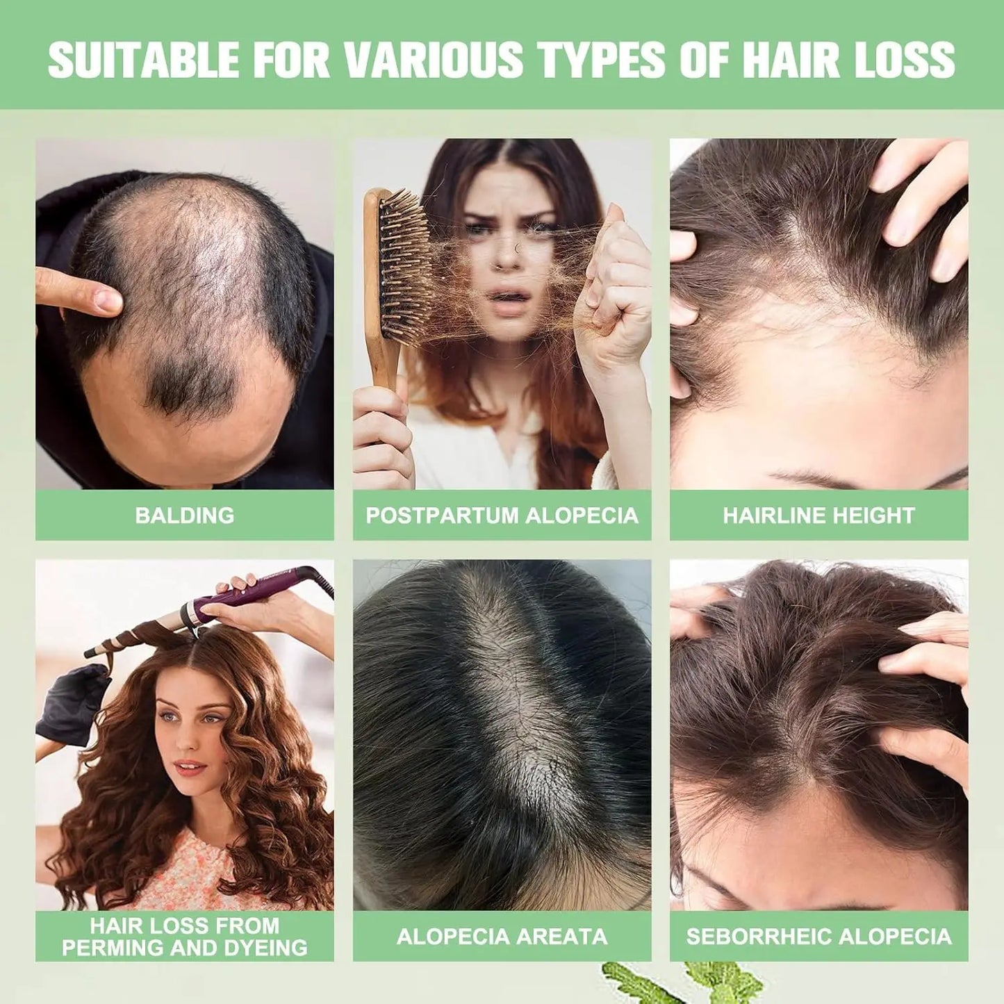 HOEGOA Rosemary Oil Shampoo for Hair Growth & Thinning