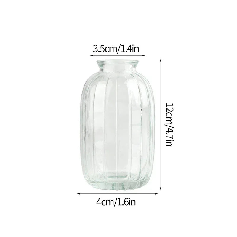 Vintage Transparent Glass Vase | Flower Bottle & Plant Pot