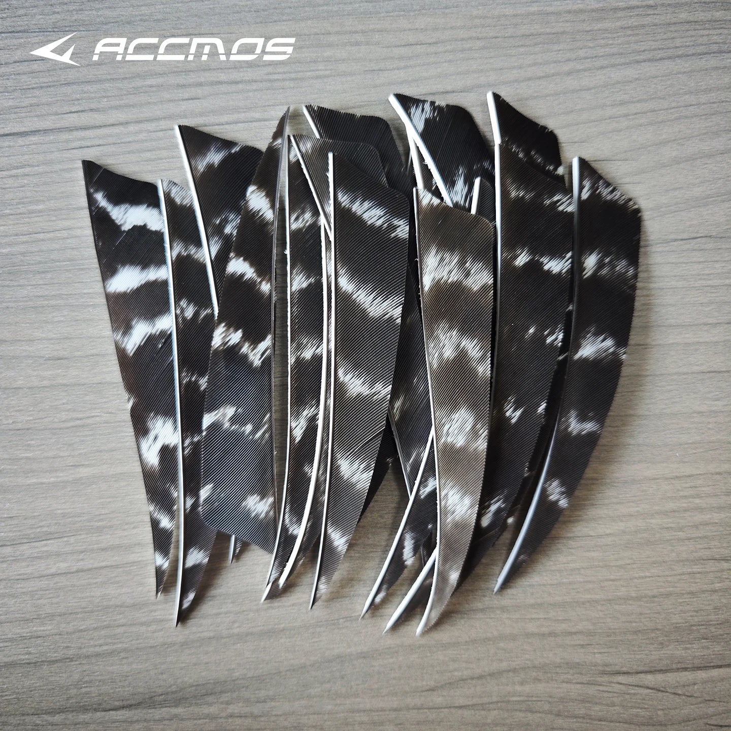 25 RW LW Natural Turkey Archery Arrow Feathers Shield 3 4 Fletching