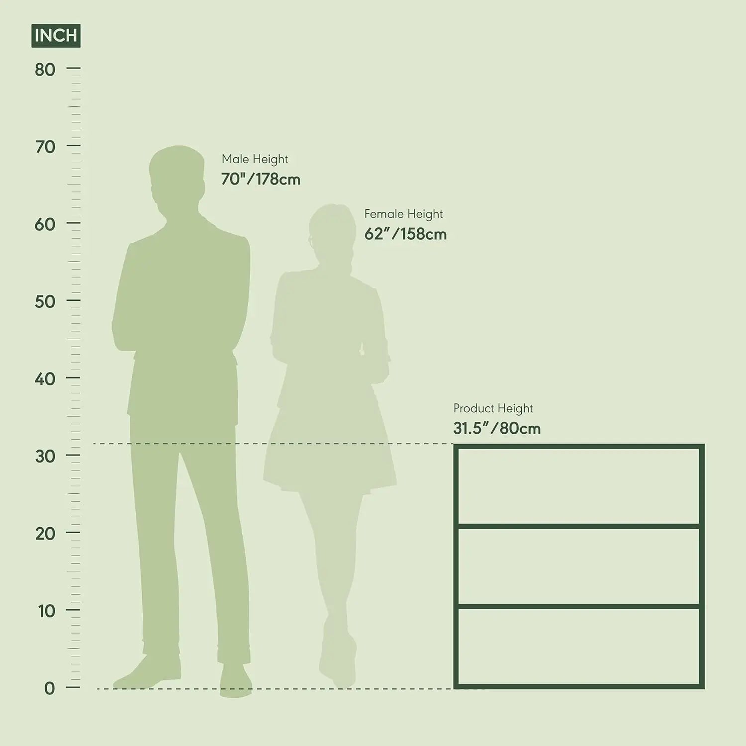 Measurement chart showing heights of a male, female, and product on a light green background.
