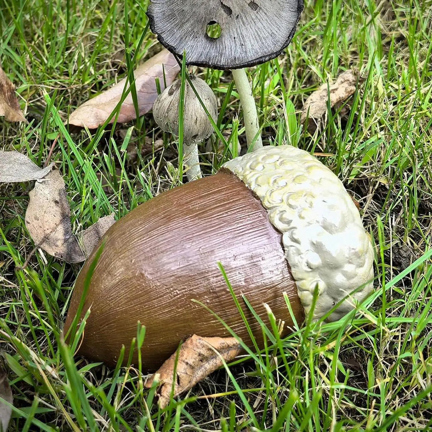 Hazelnut Secret Safe Box | Waterproof Resin Disguised Stash