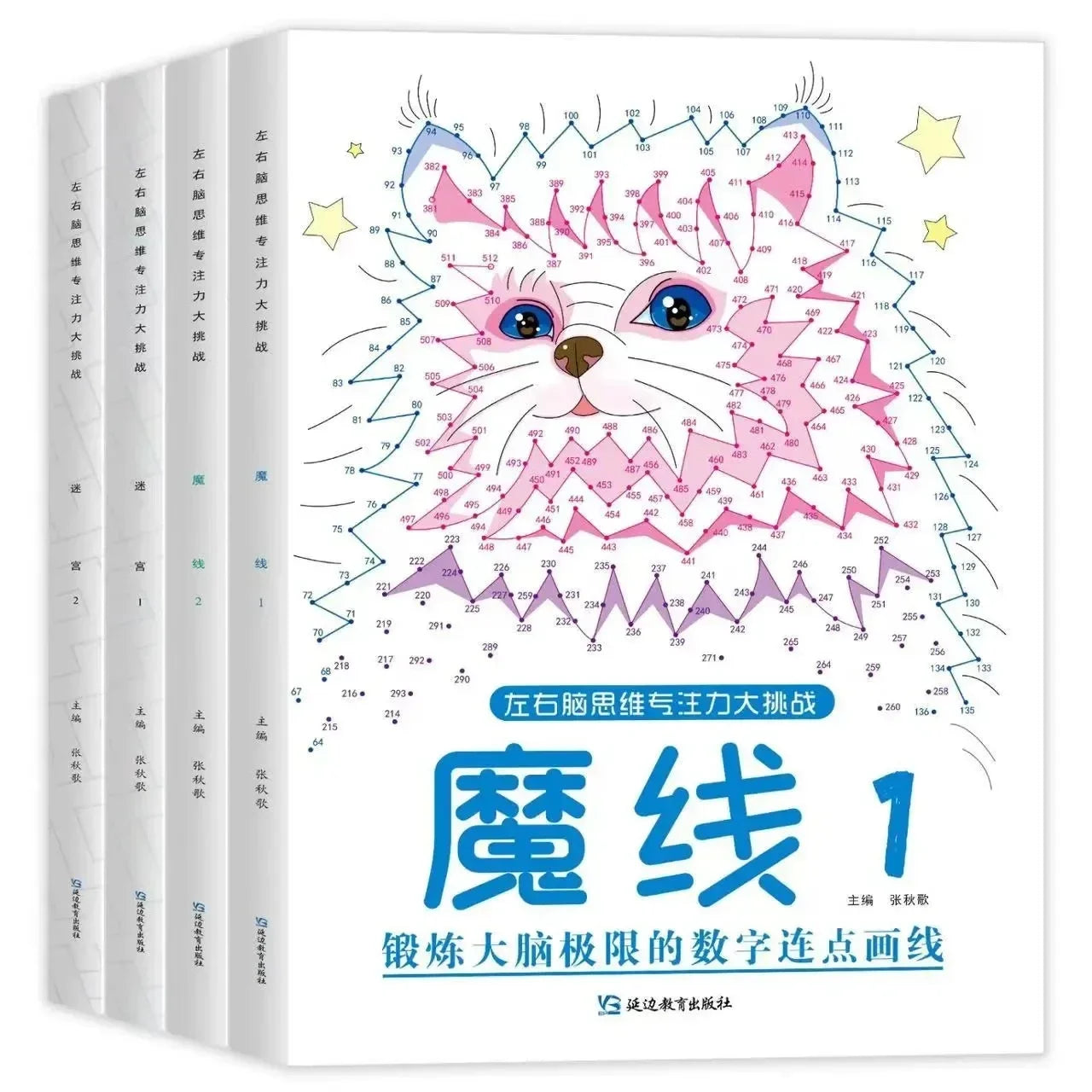 Magic Line Concentration Training Left Right Brain Development