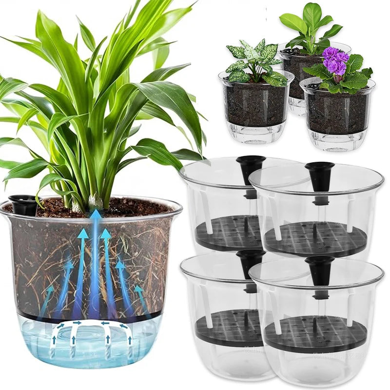 2-Pack Clear Self-Watering Pots with Deep Reservoir | Indoor Plants