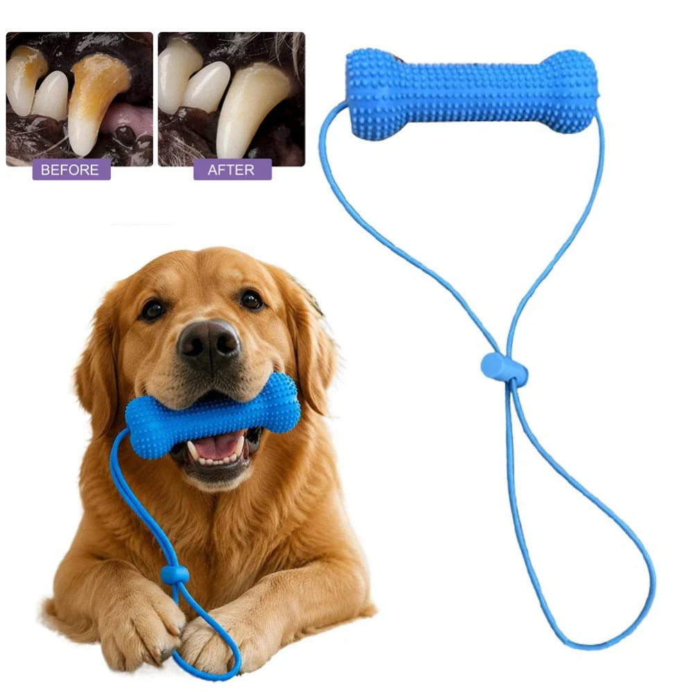 Dog Chew Stick Toy – 360° Teeth Cleaning, TPR, All Sizes