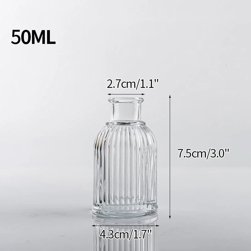 Vintage Transparent Glass Vase | Flower Bottle & Plant Pot