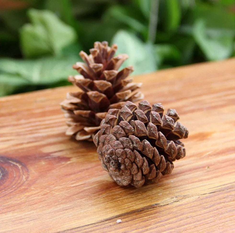 Pinecone Christmas Tree Ornaments 9-Pack | Rustic Wood Decor