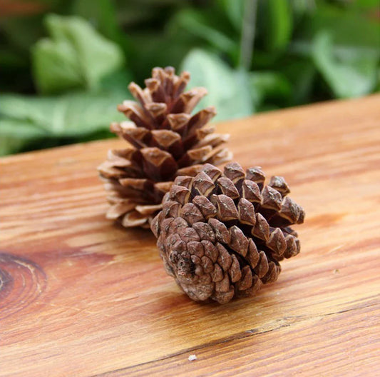 Pinecone Christmas Tree Ornaments 9-Pack | Rustic Wood Decor Christmas Tree Ornaments Oasis Select