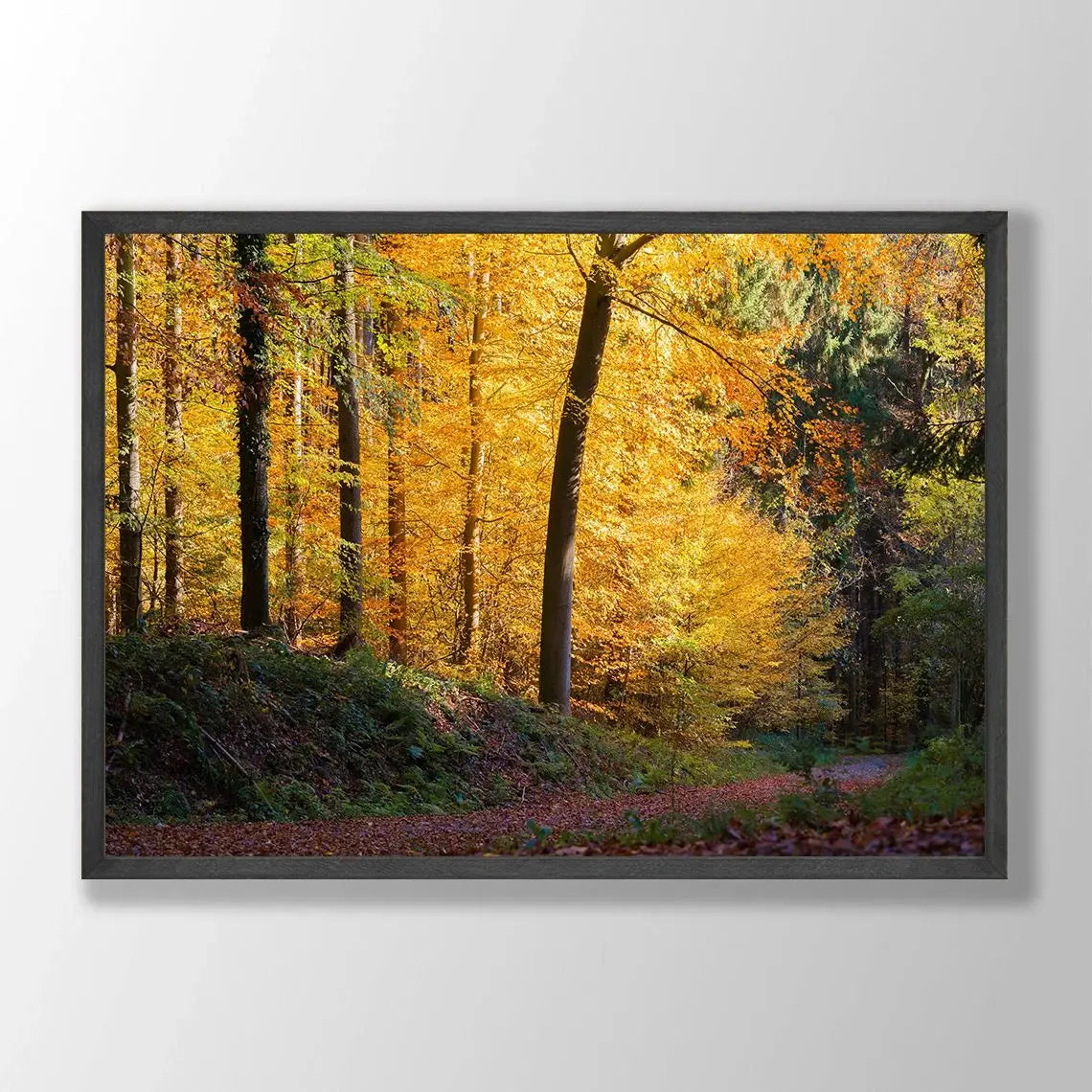 Dark Green Forest Fog Mountain Canvas Wall Art | Nature Poster