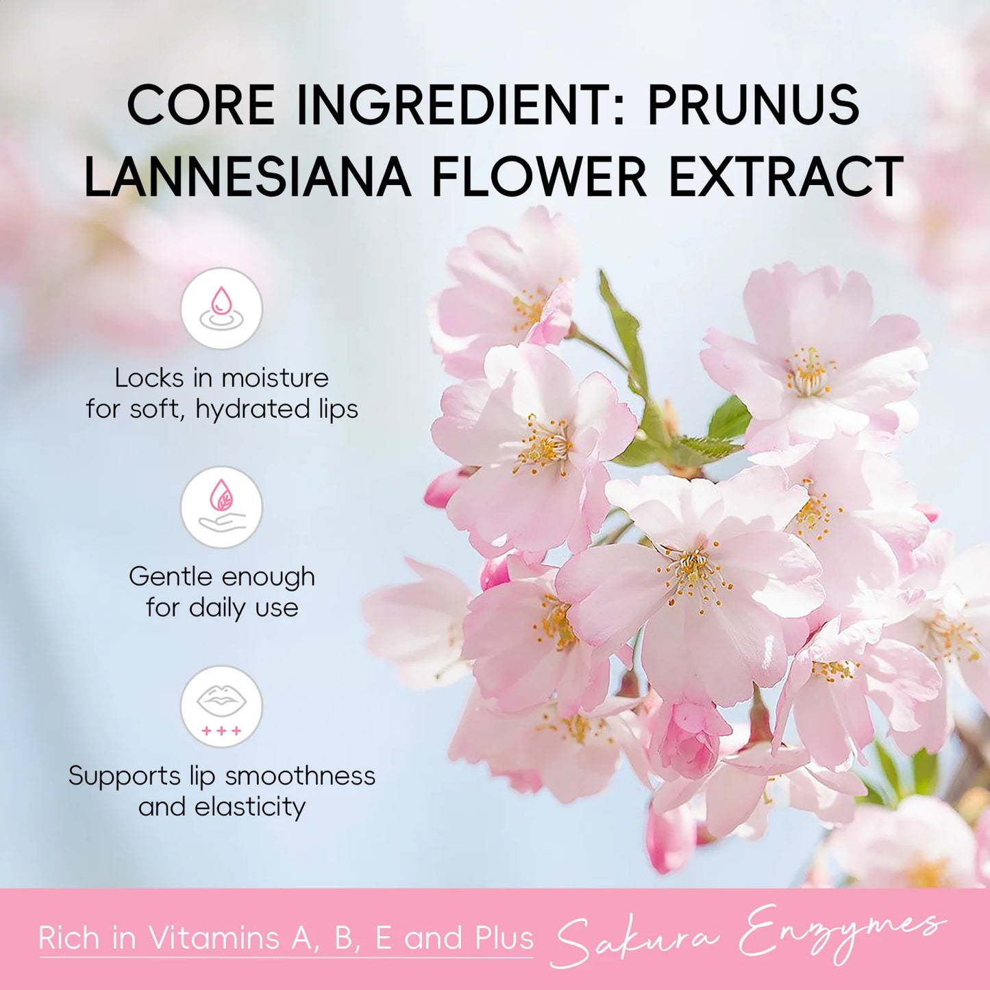 BIOAQUA Sakura Cherry Blossom Moisturizing Lip Balm 1/2/3 Pack