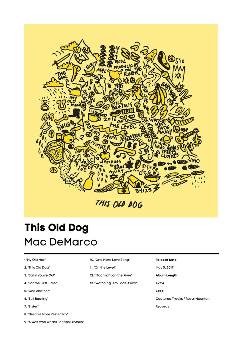 Music Album Cover Canvas Poster | Mac DeMarco, RHCP & More