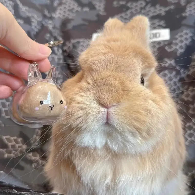 Cute Rabbit Pet Hair Memorial Transparent Storage Box Keychain