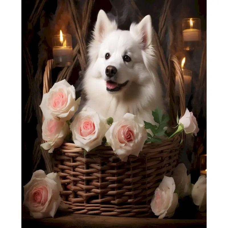 GATYZTORY Acrylic Painting By Numbers With Frame Pictures On Numbers Animals Canvas Painting Gift For Adults Wall Decors Fruit C Peaceful Pleasures Health and Wellness 11-8 30x40cm Unframed