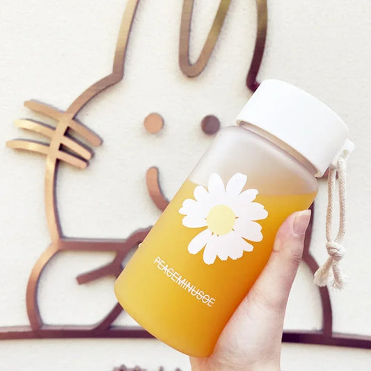 Kawaii Frosted Transparent Water Bottle | Portable Insulated Cup Reusable Water Bottle Peaceful Pleasures Health and Wellness