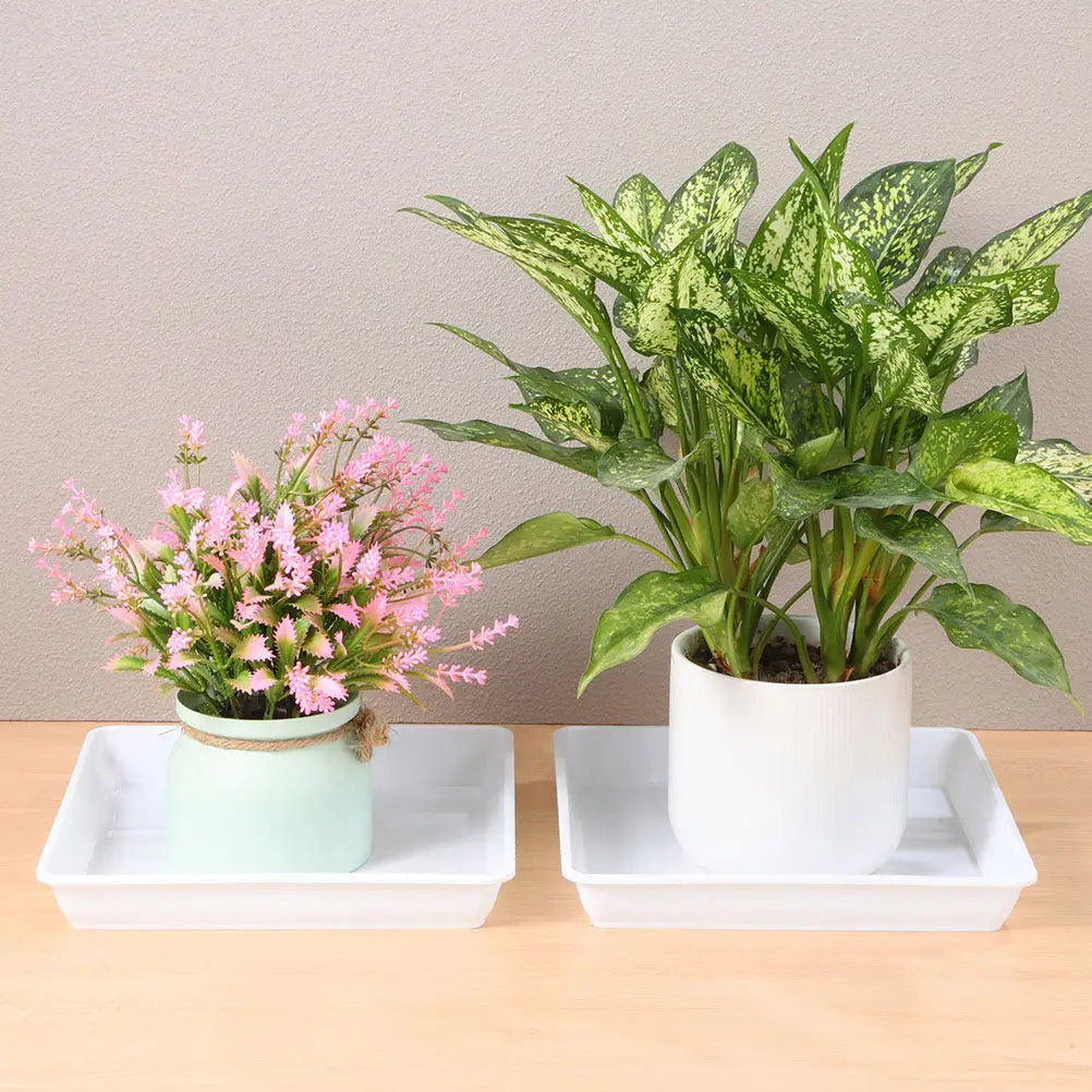 2Pcs 9.82 Inch Square Plastic Planter Saucer Thick Flower Pot Base Tray for Water Collection Drainage Outdoor Indoor Succulent Peaceful Pleasures Health and Wellness