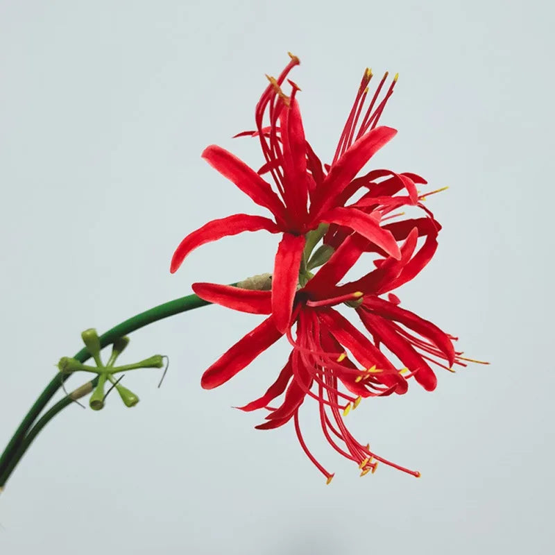 Artificial Red Spider Lily Silk Flower Branch | Home & Wedding