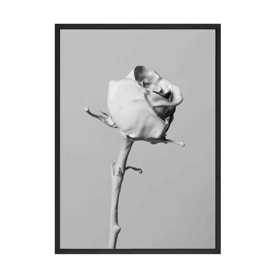 Llama in a Taxi NYC Times Square Canvas Wall Art | B&W Print