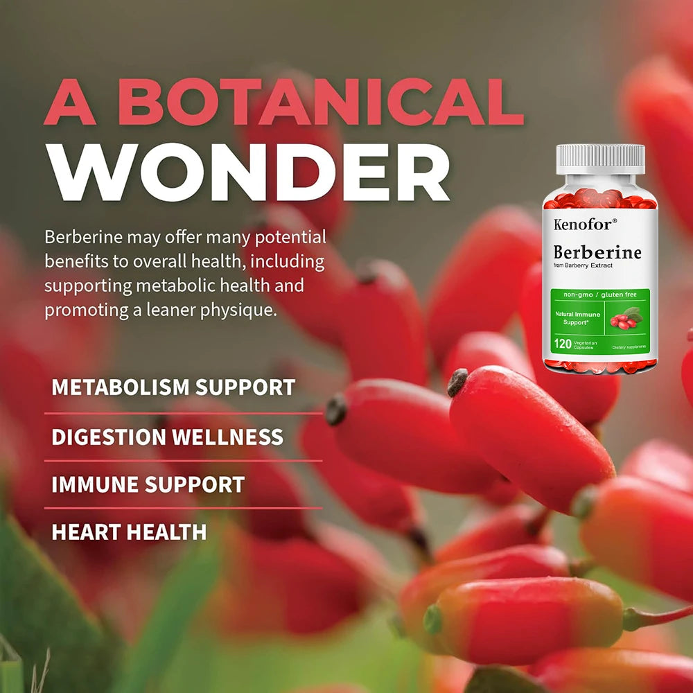 Premium Berberine Supplement Capsules - Supports Immune System Healthy Food Antioxidant,NON-GMO Peaceful Pleasures Health and Wellness
