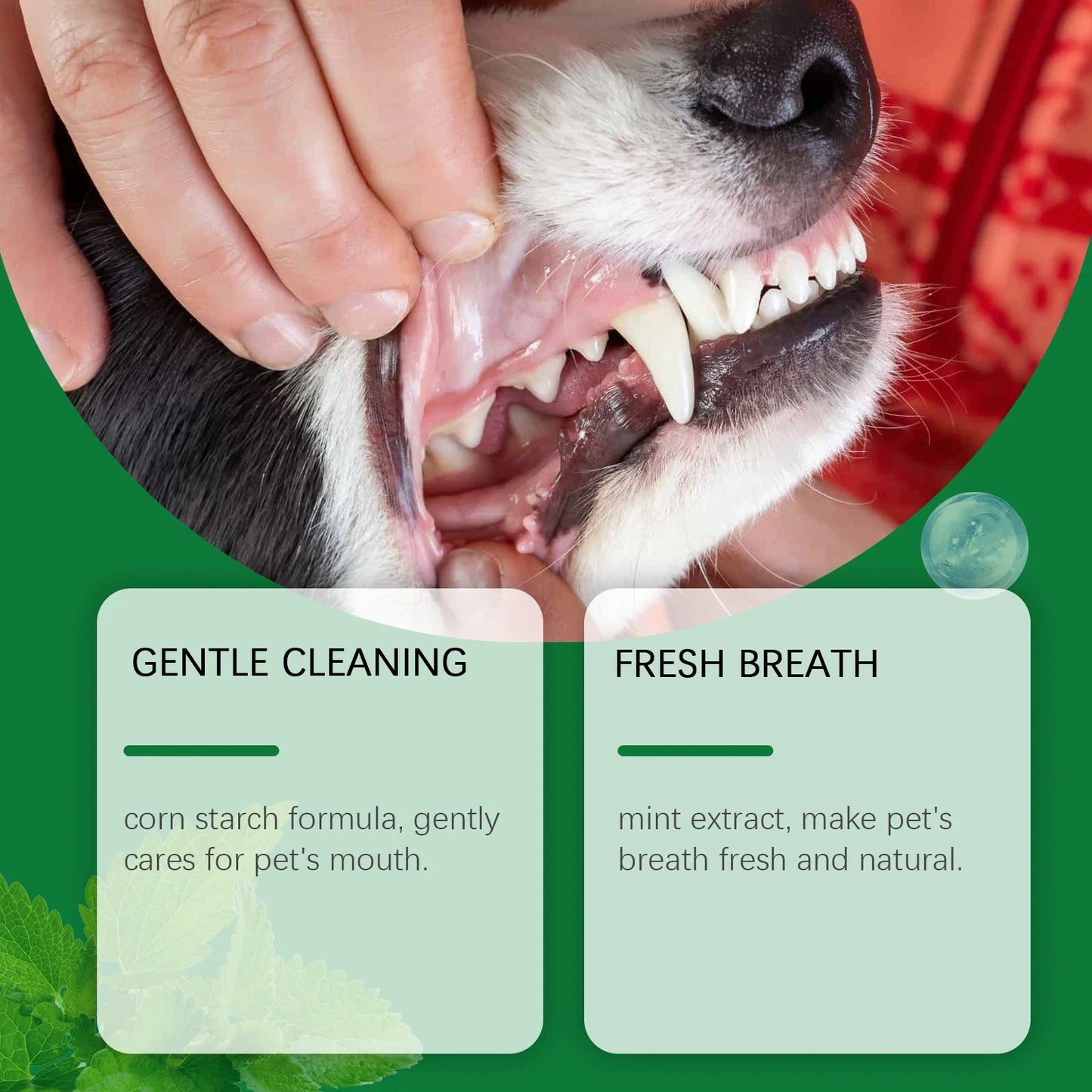 YEGBONG Pet Teeth Cleaning Powder – Plaque & Fresh Breath 100g
