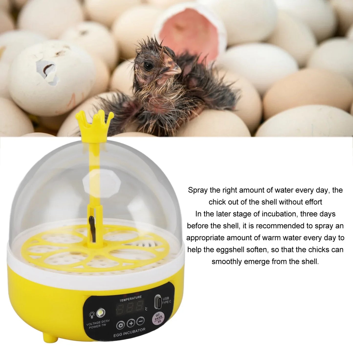 Egg Incubator Home Automatic Temperature Humidity Control 4 Eggs