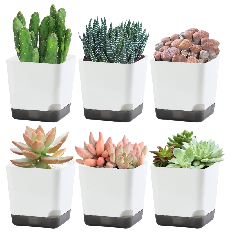 5-Pack Self Watering Planters | Drainage & Clear Reservoir