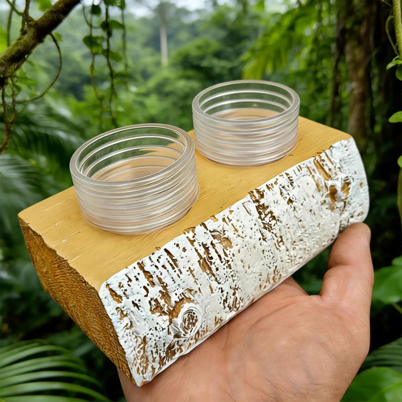 Magnetic Gecko Feeding Ledge with 10 Cups | Reptile Feeder Reptile Feeding Ledge Peaceful Pleasures Health and Wellness