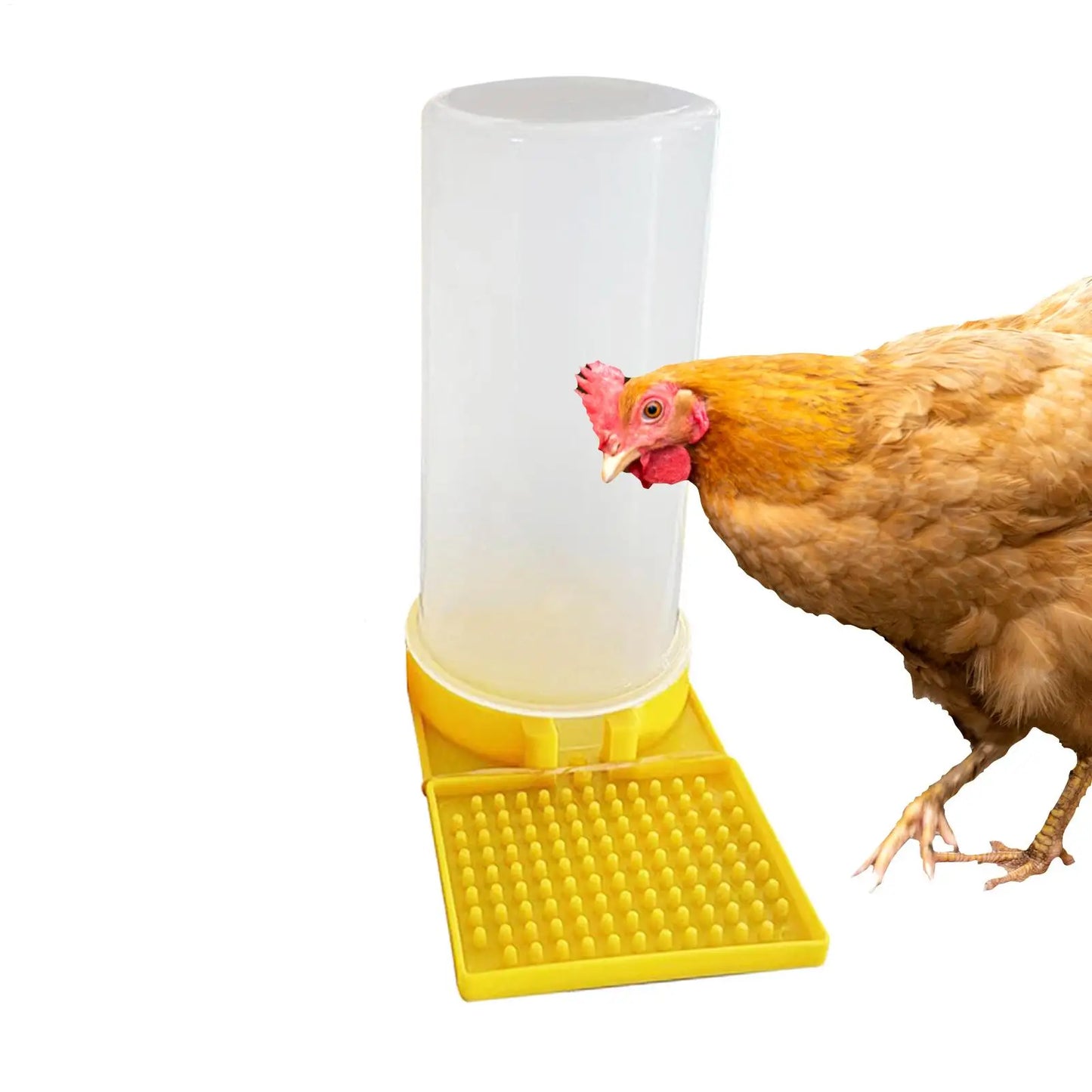 Leakproof Poultry Feeder Water Cup for Chicks, Quail & Chickens