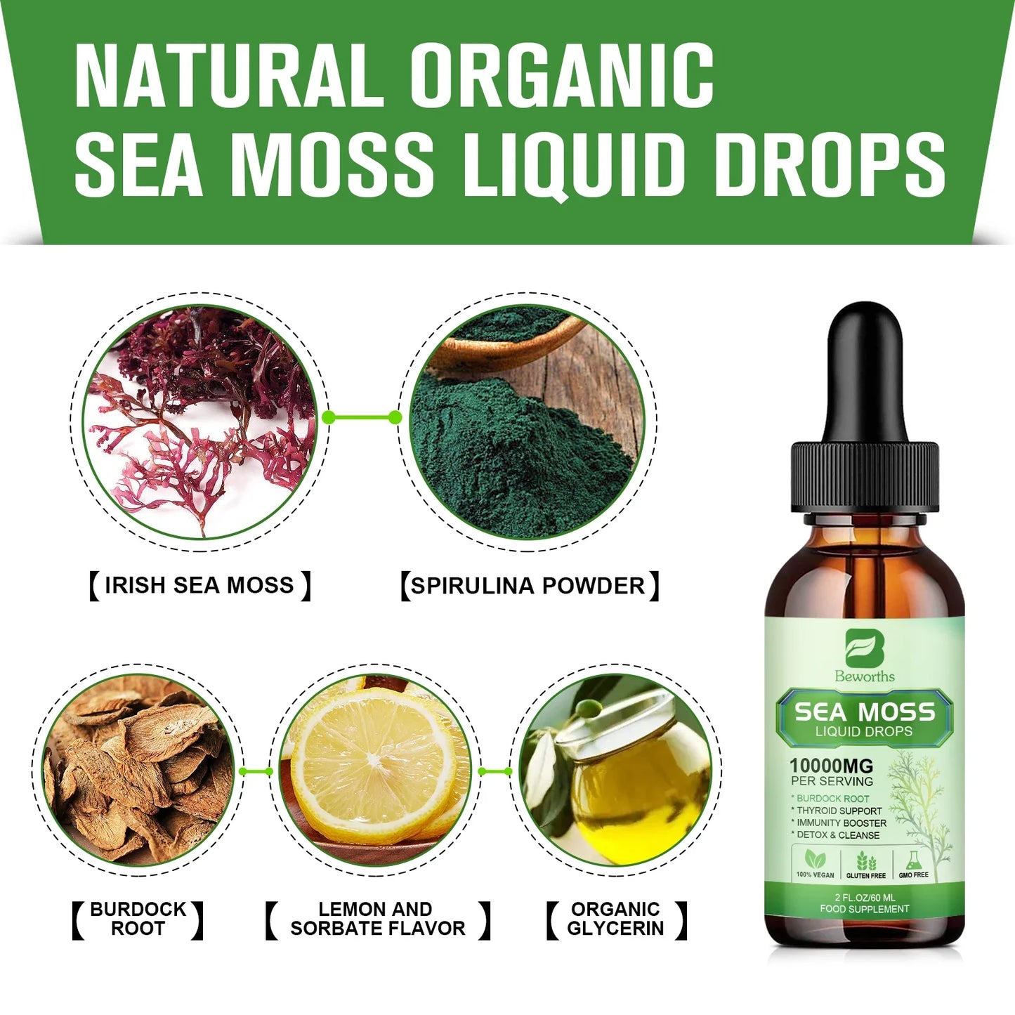 BEWORTHS Organic Sea Moss Drops – Gut, Immunity & Energy