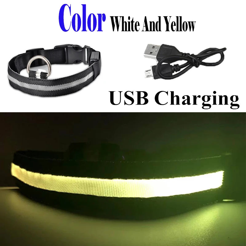 Colorful USB Rechargeable Pet Dog LED Glowing Collar Luminous Flashing Necklace Outdoor Walking Night Safety Supplies DC05 Peaceful Pleasures Health and Wellness USB Mixcolor XS(28-40cm)