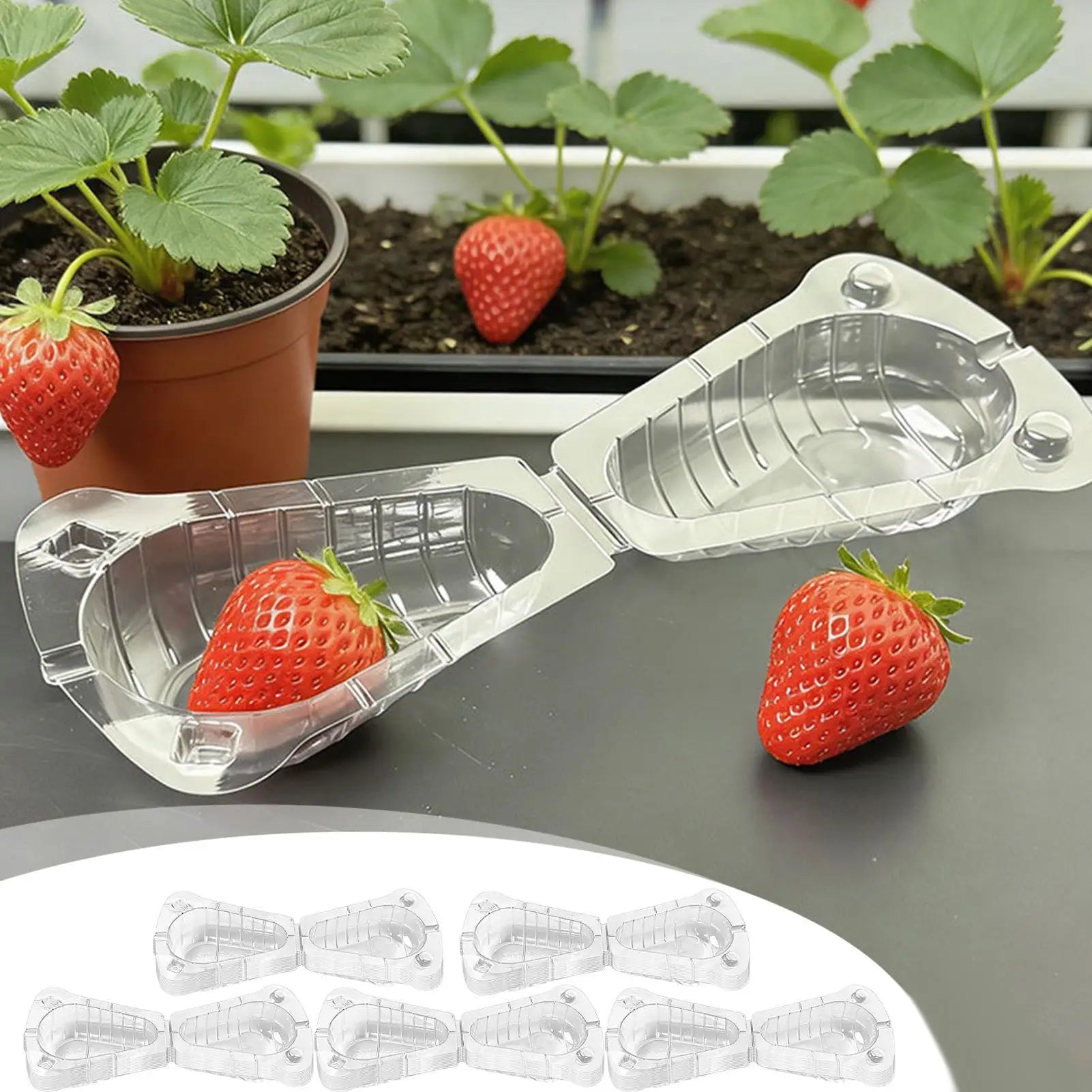 50 Pieces Clear Strawberry Cover Animal Barrier Reusable Blueberry Cover Fruit Protection for Garden Plants Fruit Vegetable Peaceful Pleasures Health and Wellness