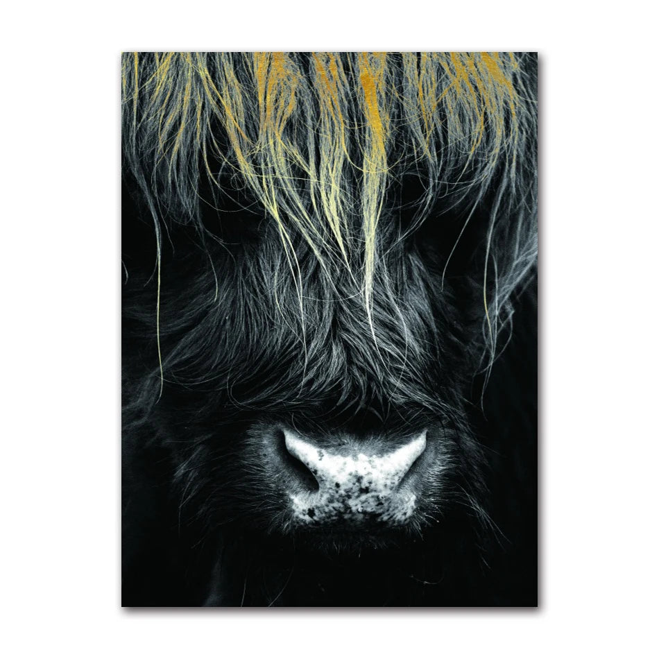Scottish Highland Cattle Canvas Wall Art | Modern Animal Print