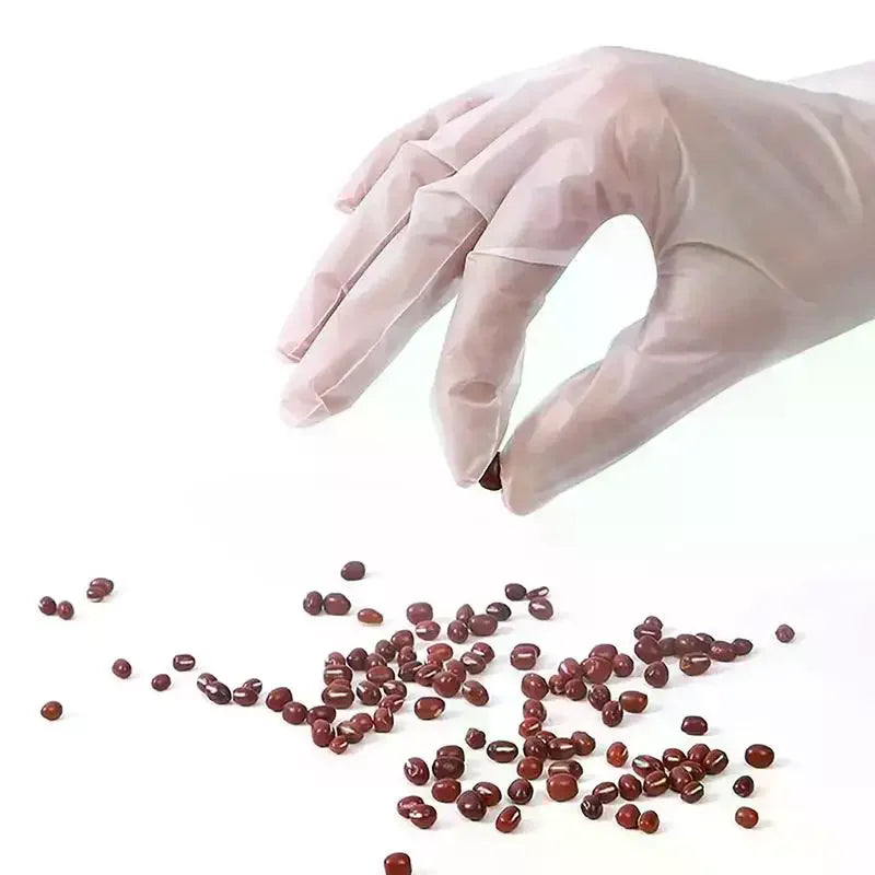 100-Pack Disposable TPE Gloves | Food Grade S/M/L/XL