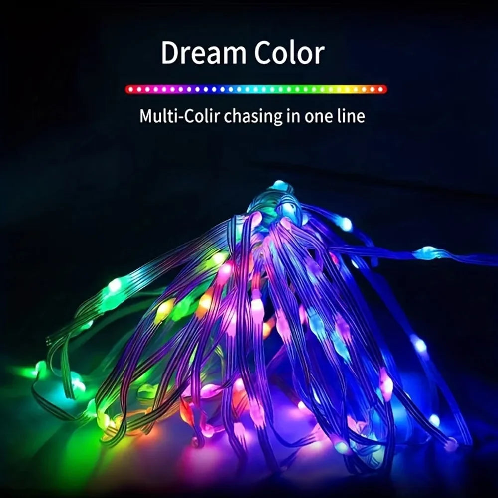 Dreamcolor Bluetooth RGBIC LED Fairy String Lights USB 5m–20m