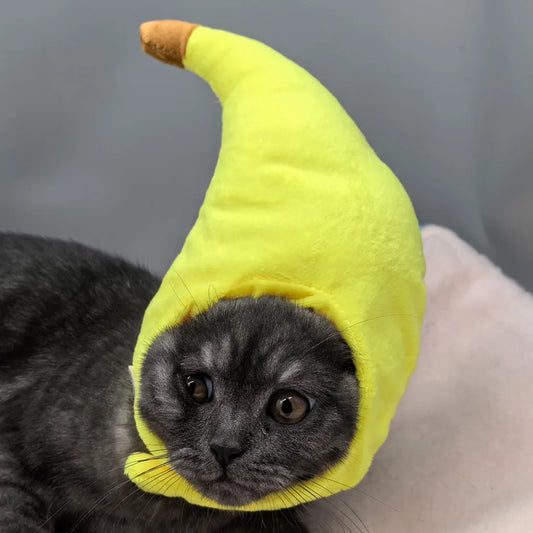 Funny quirky banana pet headgear cute cat decoration fluffy banana hat for pet partie and role-playing costume performance props Peaceful Pleasures Health and Wellness