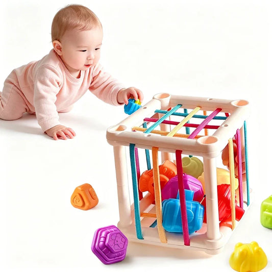 Montessori Shape Sorting Toy – Colorful Blocks for Toddlers Shape Sorting Toy Oasis Select