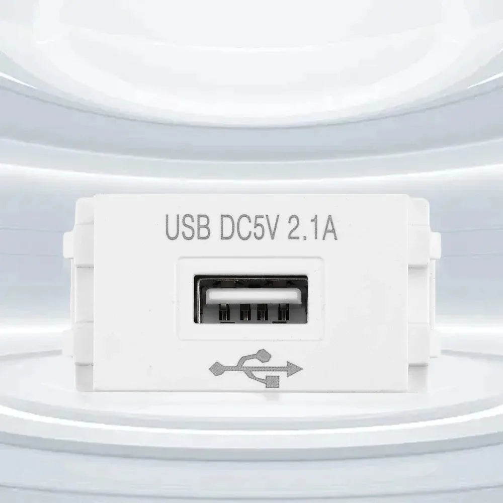 USB Power Module Charging Panel for Mobile Phones 220V Socket 5V 2.1A Switching Adapter Power Socket Peaceful Pleasures Health and Wellness