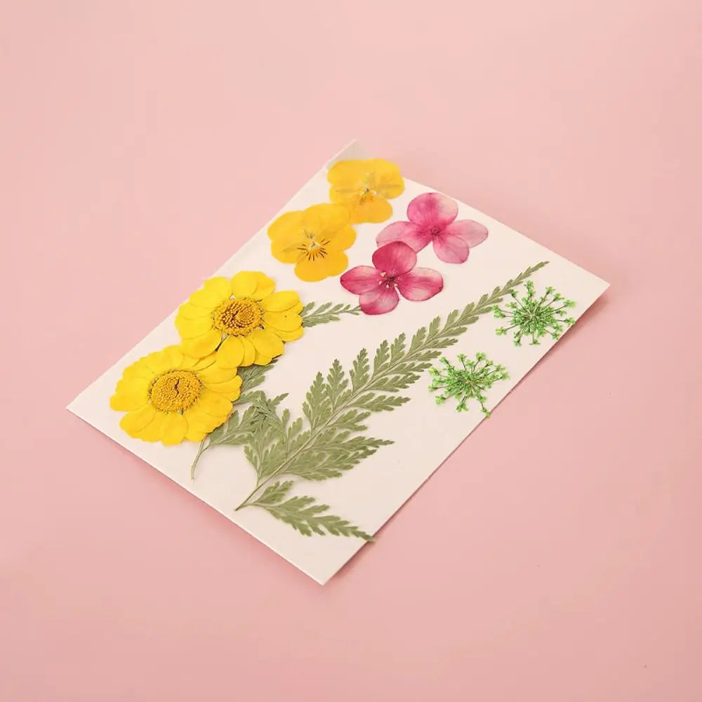 DIY Materials DIY Dried Flower Bookmarks Pressed Flower PET Dried Flower Stickers Handmade Transparent Flower Page Bookmark Kids Peaceful Pleasures Health and Wellness