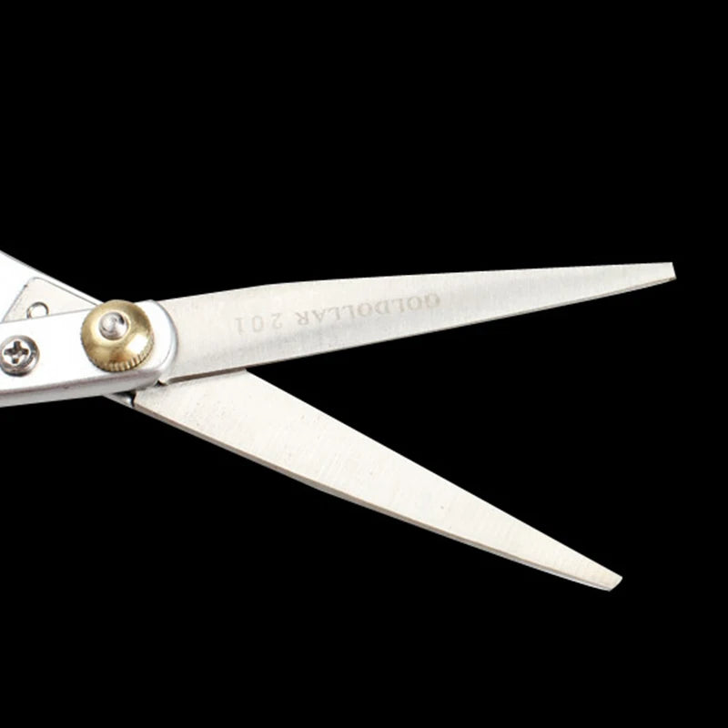 Professional Hair Cutting Scissors & Thinning Shears | Stainless Steel