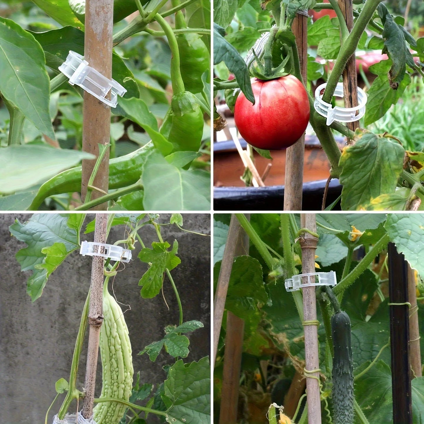 Plastic Plant Support Clips for Tomatoes & Climbing Plants Plant Support Clips Peaceful Pleasures Health and Wellness