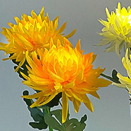 Solar Garden Lamp Solar Flowers Lights Solar Powered Chrysanthemum LED Lawn Light Outdoor Garden Decor Perfect for Yard Fence Peaceful Pleasures Health and Wellness