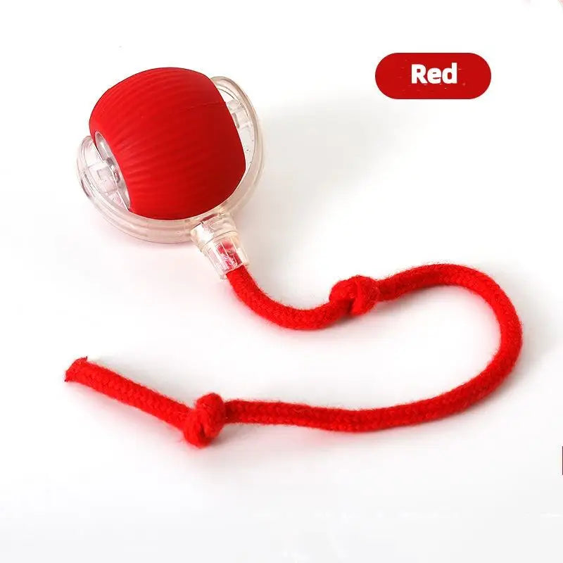 Electronic Auto-Rolling Interactive Cat Ball Toy | USB Rechargeable