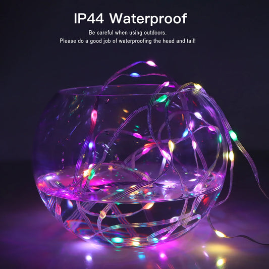 RGB Bluetooth LED Fairy String Lights – USB Dream Color RGBIC LED Fairy String Lights Peaceful Pleasures Health and Wellness 5M